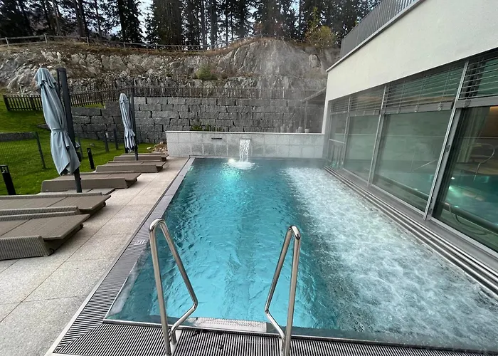 Alpine Luxury With Access To 5 Star Davos