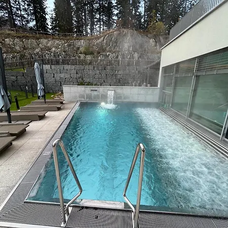 Alpine Luxury With Access To 5 Star Давос